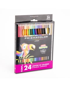 Lápiz color 24und