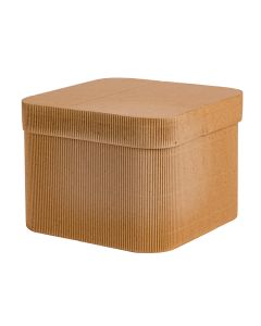 Caja tipo cubo corrugad #3