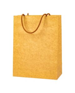 Bolsa cartulina tamaño práctico