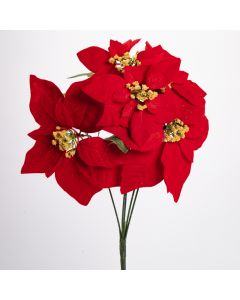 Flor navideña pastora