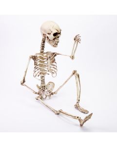 Esqueleto Halloween 74x17cm 