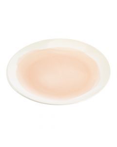 Plato porcelana plano liso 10.5pulg 