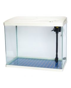 Pecera vidrio con bomba