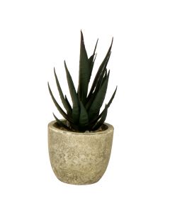 Planta artificial con macetero surtido
