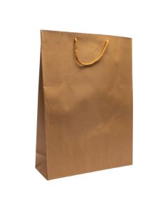 Bolsa papel kraft lisa marrón