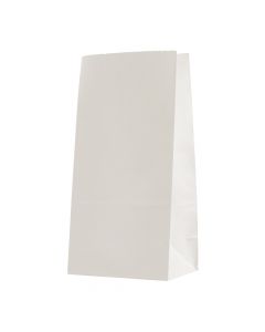 Bolsa papel lisa 30x15.5x10cm 12und blanco