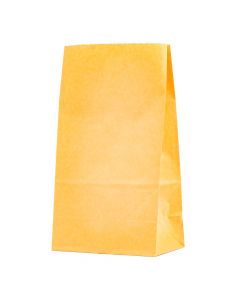 Bolsa papel kraft lisa 27x15x9cm 12und