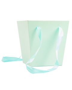 Caja cartón lisa con asas menta