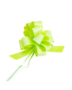 Lazo plástico liso escarchado 5pulg 6pzas menta