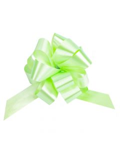 Lazo plástico liso 5pulg 6pzas verde