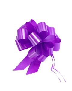 Lazo plástico liso 5pulg 6pzas morado