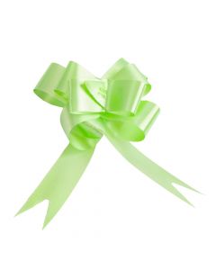 Lazo plástico liso 22mm 6pzas menta claro