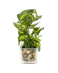 Planta artificial y base vidrio transparente
