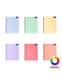 Cuaderno liso 100 hojas