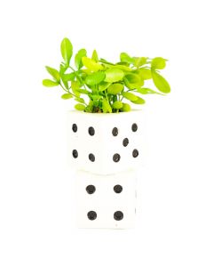 Planta artificial maceta dados