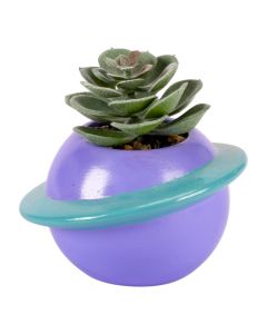 Planta artificial decorativa compacta