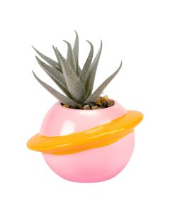 Planta artificial decorativa compacta
