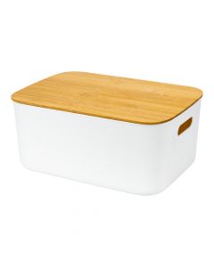 Caja plástica grande con tapa