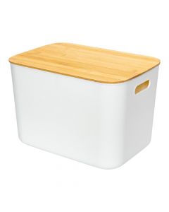 Caja plástica grande con tapa