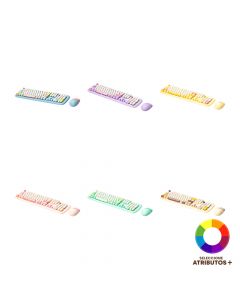 Teclado y mouse inalámbricos