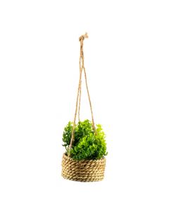 Planta artificial colgante decorativa