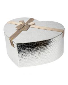 Set de caja plateada grande