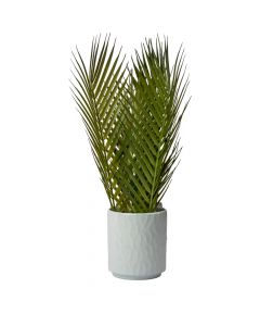 Set macetas cerámica bonsáis