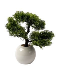 Macetas cerámica diseño pino