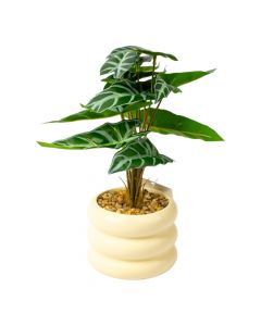 Maceta cerámica decorativa