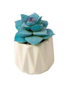 Maceta cerámica diseño ondulado