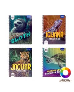 Cuaderno espiral, 100 hojas