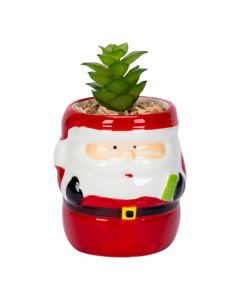 Maceta Santa con planta roja