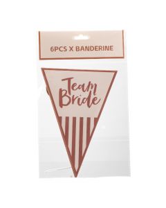 Banderín Team Bride cartón