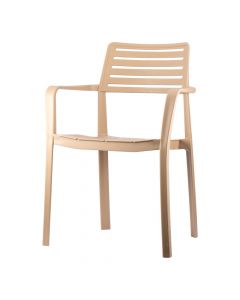 Silla plastica 54x58x84cm marron