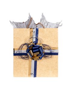 Bolsa mediana kraft surtido