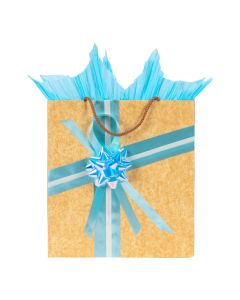 Bolsa mediana kraft celeste