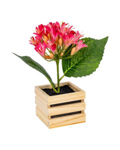 Caja madera con flor 7 cm