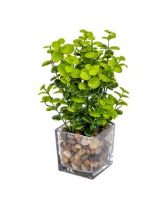 Planta artificial maceta vidrio