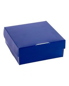 Caja #72 lisa papa 