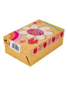 Caja mediana kraft 24x16x9