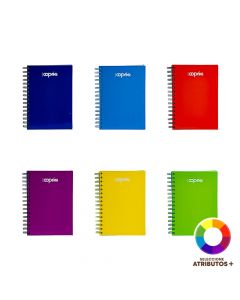 Lazo mágico liso 10 piezas