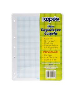 Hoja papel cuadriculada 5mm
