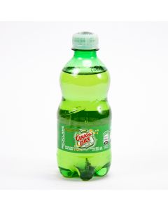 Refresco gaseoso Canada Dry ginger ale 355ml