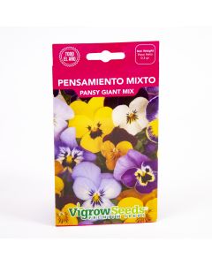 Semilla flor pensamiento