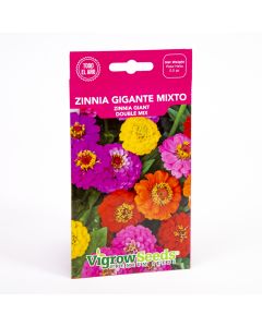 Semilla flor zinia gigante