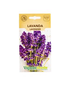 Sobre semilla vigrow seeds lavanda