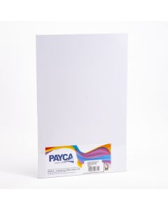 Cartón presentación Payca doble carta 5und