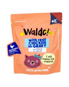 Alimento húmedo de pollo para gato