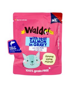 Alimento húmedo de salmon para gato