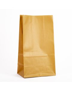 Bolsa papel lisa 8und